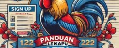 Panduan Lengkap Daftar Sabung Ayam Online di S128